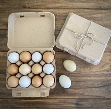 Henlay Vintage Blank Egg Cartons - Classic 3x4 Farmhouse Design - Recycled Paper picture