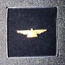 Delta Air Lines 5 Year Service Anniversary Wing Pin 10k Yellow Gold New In Box picture