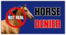 Horse Denier Adult Humor Truck Minivan Bumper Sticker Vinyl Soldier Decal 5