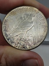 1922 S PEACE SILVER DOLLAR ☆ 1422 ☆ Beautiful Toned Reverse From Old Album picture