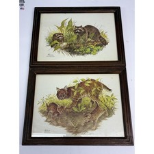 Vintage J Lockhart Wildlife Prints Set of 2 Framed Bobcat Raccoon Woodland Anima picture