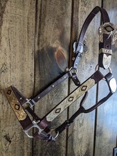 Horse Silver Show Halter - Gold & Black Diamonds - Matching Lead Shank picture