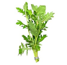 Water Wisteria (Hygrophila difformis) | Buy3Get1Free | Live Aquatic Plants picture