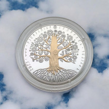 Belarus 1 Ruble 2023 MOTHER. The tree of Life NiCu picture