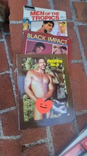 RARE VINTAGE SIERRA DOMINO STUDIOS  MAGAZINE 1985 #4 San Francisco Lot  picture