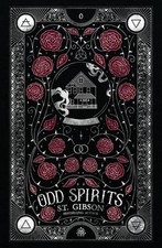 Odd Spirits by S T Gibson: Used picture