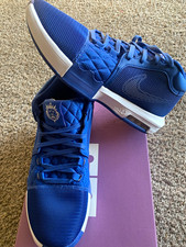 Nike LeBron Witness 8 TB Game Royal Men's Low Top Basketball Mesh FB9944-401 picture