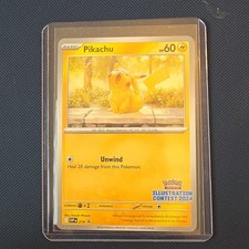 Pikachu 214 Illustration Contest 2024 Promo Holo 60 HP English Kazuki Minami picture