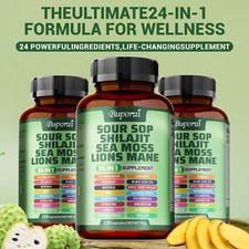 Soursop Shilajit Sea Moss Lion's Mane - Energy, Brain Boost, Immune Support picture