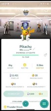 Shiny Professor Willow's Assistant Pikachu Lab Center Background-Pokémon-PTCs picture