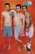Blink 182 Poster 11x17 inch picture