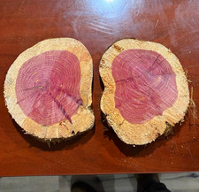 Unique Unfinished  Cedar  Round 6” to 8” inches diameter, 1”  thick, Set of 2 picture