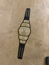 AEW World Heavyweight Championship picture