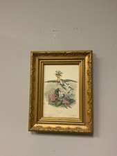 After J.J. Grandville (French, 1803-1847), Hortensia, Hand-Colored Engraving picture