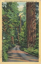 Postcard OR: State Highway Through Forests of the Northwest Linen picture