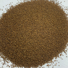 2,000 PERIQUE TOBACCO Seeds *FREE Shipping* Nicotiana tabacum, Oriental Tobacco picture