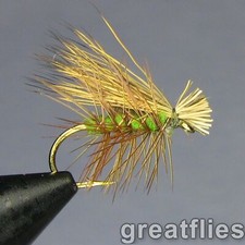 1 dozen (12) - Elk Hair Caddis - OLIVE picture