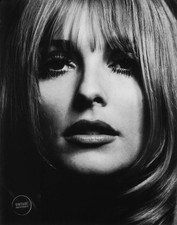 VTG Philippe Halsman Photo Print Sharon Tate Actress ArtPortrait 1966 Mat 16x19 picture