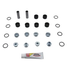 Pivot Works PWAAK-P22-000 A-Arm Bearing Kit picture