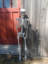 Halloween Deluxe Human Skeleton 5'4