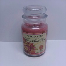 Yankee Candle Home Sweet Home House Warmer Large Jar 22 oz Retired 2011 New picture