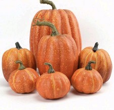 7Pcs Artificial Halloween Decoration Set   Simulation Pumpkins Fall Home Decor picture