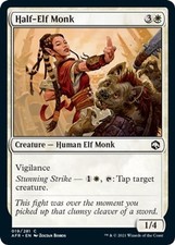 NM - Half-Elf Monk [AFR - 19] picture