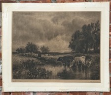 19th Century Hudson River School Engraving Wading Cows Signed William Hart N.A. picture