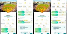 Pokemón Shiny Pikachu Male, Female BOSTON RED SOX BG FENWAY PARK | Tr-de Go ✨ picture