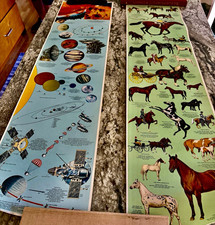 Complete Collection of 5 Vintage Mid-Century Wall Charts (Tryckare, Sweden) picture
