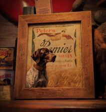 Vintage Peters Shotgun Shell Box Art Print 8X10 Shorthair Hunting Dog Wall Decor picture