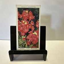 1939 Wills's Garden Flowers #32 Nemesia Variety: Brightness picture