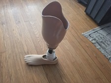 Prosthetic Leg With Bulldog Titanium Ossur And Willowwood Base picture