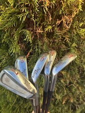 Ben Hogan Apex Edge 2002 Iron Set 7-F Gap Wedge  Penly A Flex Graphite Shaft RH picture
