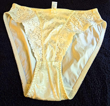 NEW & Vintage Mona Lisa Silk & Lace Hicut Panty Brief Medium 6 Nylon Spandex picture