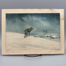 Vintage Pencil Signed The Lone Wolf Print Alfred von Kowalski Morris Bendien NY picture
