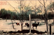 Vintage Postcard 1907-1915 Winter Scene, 