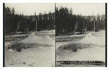 Yellowstone Lioness Geyser Standard Postcard picture