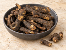 Osha Root Ligusticum porteri Whole Dried Root Botanical picture