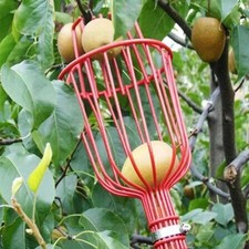 Best Garden Fruit Harvest Picker Metal Tong Padded Basket Red  picture