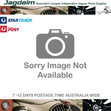New Jaguar Dash Grab Handle Nut & Bolt BD20639P/1 picture