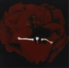 The Smashing Pumpkins Adore (CD) Super Deluxe  Box Set with DVD picture