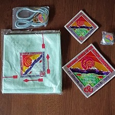 Order of the Arrow Boy Scouts 1979 NOAC Fort Collins CO Patch Lot picture