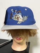 Vintage NEW 1993 TEAM NFL x LOONEY TUNES Dallas Cowboys Taz Hat Snapback picture