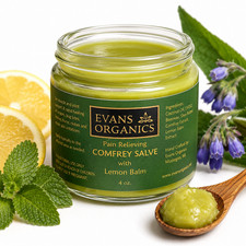 Comfrey Healing Salve 4 oz -  picture