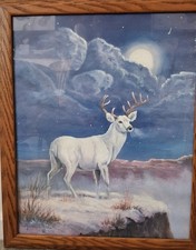 M. Caroselli White Deer Buck Framed Canvas Print Moon Winter Wildlife Wall Art picture