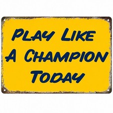 Notre Dame Play Like a Champion Today 8