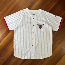 Vintage Starter Chicago Bulls Pinstripe Baseball Jersey 90s picture