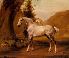 Oil painting Stubbs, George - A Grey Stallion nice horse In A Landscape canvas picture
