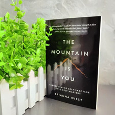 The Mountain Is You English Book Self Transformation Psychology Self Help picture